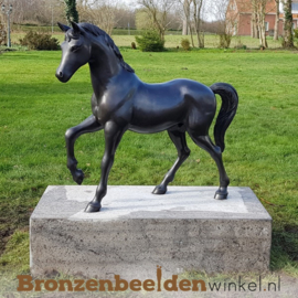Bronzen tuinbeeld paard BBW1199