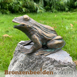 Kikkerbeeld van brons BBWR90110