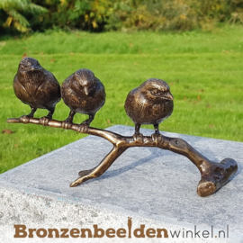 NR 4 | Cadeau vrouw 67 jaar ''Bronzen mussen op tak'' BBW0399br