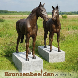 Twee bronzen paarden beelden BBW1309