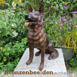 Gedenksteen hond "Herdershond" BBW56814gd