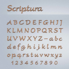 Losse letters Scriptura 45 - 60 mm