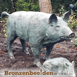 Tuinbeeld varken in brons BBWR88457