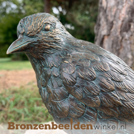 Bronzen merel beeld BBWR88470