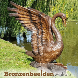 Bronzen zwaan beeld BBW55874br
