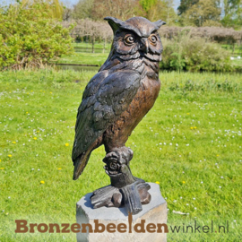 Beeld ransuil van brons BBW1427br