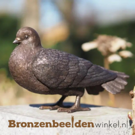 Beeld duif van brons BBW1511br