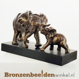 Beeld moeder olifant met baby olifant BBWFHOFS