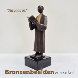 Advocatuur beeld "De Advocaat" BBW23pb45