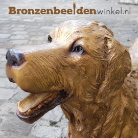 Honden beeld Golden Retriever BBW37222