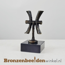 Spiritueel cadeau ''Sterrenbeeldje Vissen'' BBW23pb21