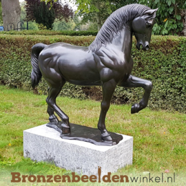 Bronzen beeld dressuurpaard BBW1047br