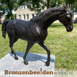 Paardenbeeldje brons BBW1172br