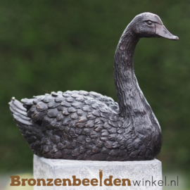 Zwaan beeld in brons BBW1343br