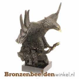 Bronzen adelaar beeld BBWbr10