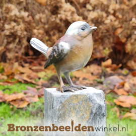 Bronzen vink vogeltje in kleur incl. sokkel BBWF6536fa06