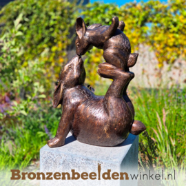 Beeld voor in de tuin "Hazen liefde" BBW0364br