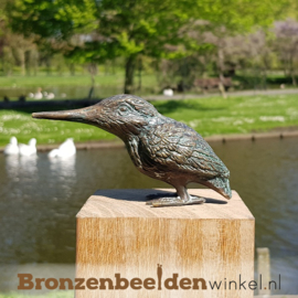 Beeld IJsvogel brons BBW89003