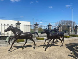 Vier galopperende paarden van brons BBW111999
