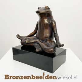 Mediterende kikker beeld BBW6524BR