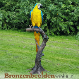Bronzen beeld papegaai BBW1147p