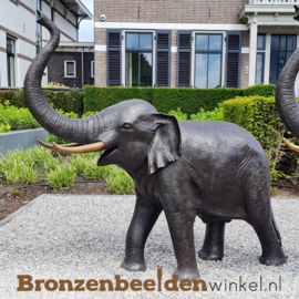 Bronzen beeld olifant BBW944