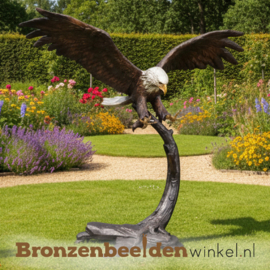 Witkop adelaar beeld "American Eagle" BBW91359br