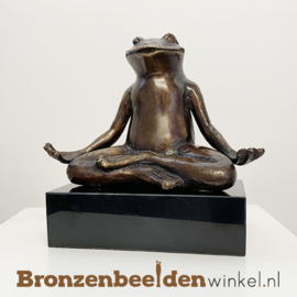 Yoga kikker beeld