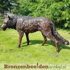 NR 3 | Vaderdag cadeau ''Wolf in brons'' BBW75034