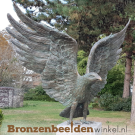 Bronzen zeearend beeld BBWR88859