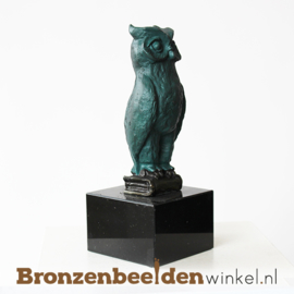 Afstudeer kado beeldje "Wijze Uil" BBW004br28