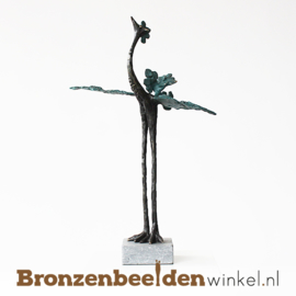 Pensioencadeau "De vleugels uitslaan" BBW004br24