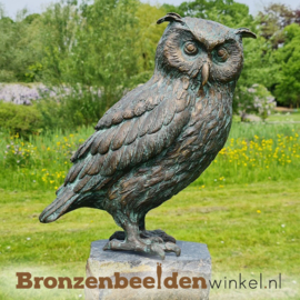 Beeld uil "Oehoe" brons BBWR88878