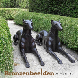 Twee Doberman Pinscher hondenbeelden BBW538