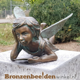 Tuinbeeld lezende fee BBWR89052