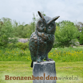 NR 7 | Halloween cadeau ''Bronzen neerkijkend uilenbeeldje'' BBWR88634