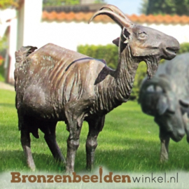 Bronzen geit tuinbeeld BBW87042