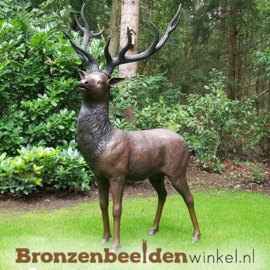 Tuinbeeld hert in brons BBW713