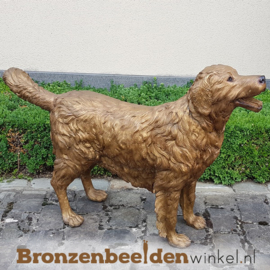 Honden beeld Golden Retriever BBW37222