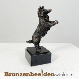 NR 5 | Cadeau hondenliefhebber "Enthousiaste Collie" BBW043br07