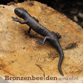 Beeldje salamander in brons BBW1317br