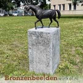 Paardenbeeldje brons BBW1172br