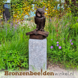 Beeld uil op boek in brons BBW94533br