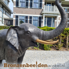 Bronzen beeld olifant BBW944