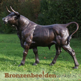 Groot stieren beeld brons BBW96999