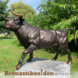 Bronzen stier beeld BBW1307br