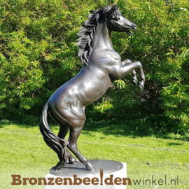 Groot beeld paard BBW1096br