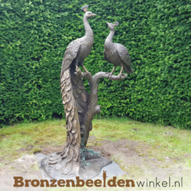 NR 17 | Bronzen vogels van twee pauwen BBW1116
