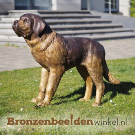 Hond beeld Sint Bernard in brons BBW28800