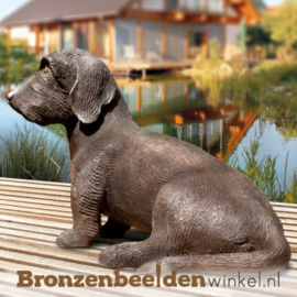 Bronzen tekkel beeld BBW87447